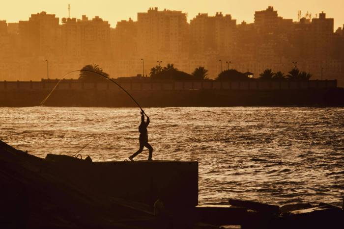 pexels-ahmed-fahmy-1654571123-29821198